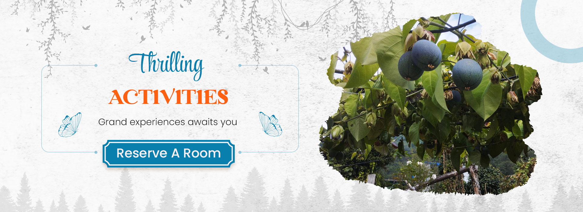 Buddha Hang Homestay